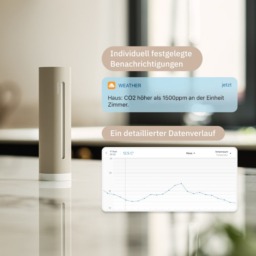 Netatmo Wetterstation 2. Generation – Komplett-Set mit Regen- und Windmesser für zuhause