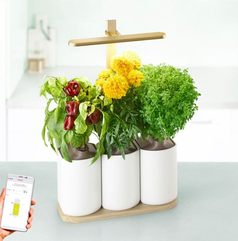 Prêt à Pousser Lilo Edition – Smarter Indoor-Kräutergarten mit 3 Pflanzplätzen in Weiss