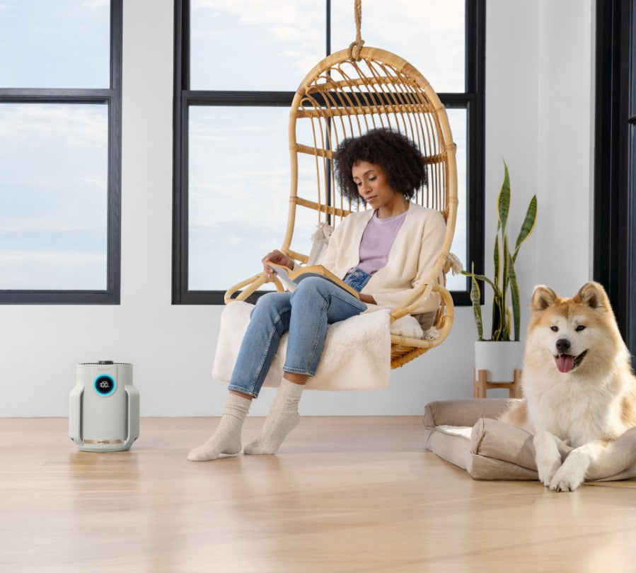 Shark NeverChange Compact Pro HP072CH Luftreiniger mit HEPA-Filter für Räume bis 23 m² – Grau