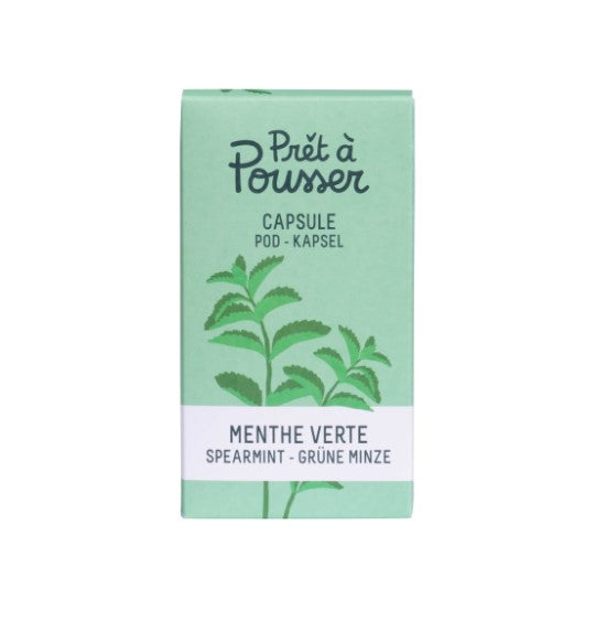 Grüne Minze (Kräuter Blumen)