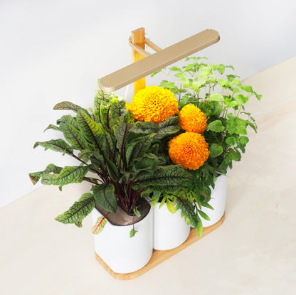 Prêt à Pousser Lilo Edition – Smarter Indoor-Kräutergarten mit 3 Pflanzplätzen in Weiss