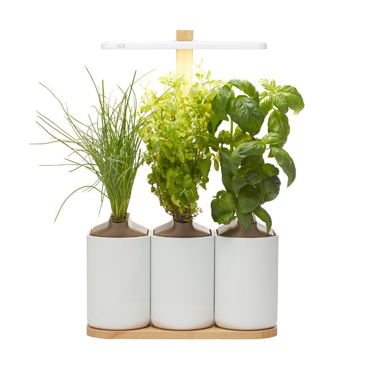 Indoor Kräuter - Blumen - Garten Lilo Connect