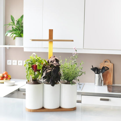 Prêt à Pousser Lilo Edition – Smarter Indoor-Kräutergarten mit 3 Pflanzplätzen in Weiss