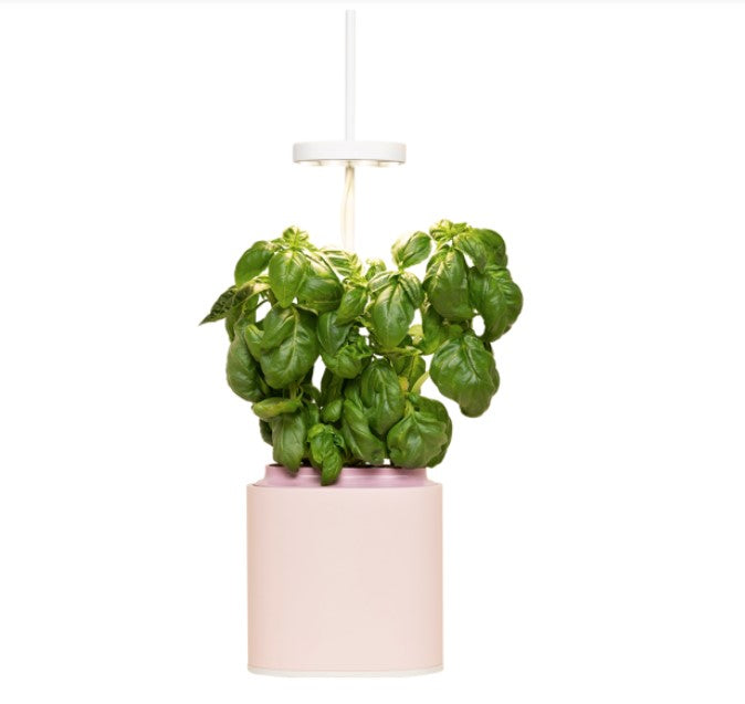 Indoor Kräuter - Blumen - Garten Nano