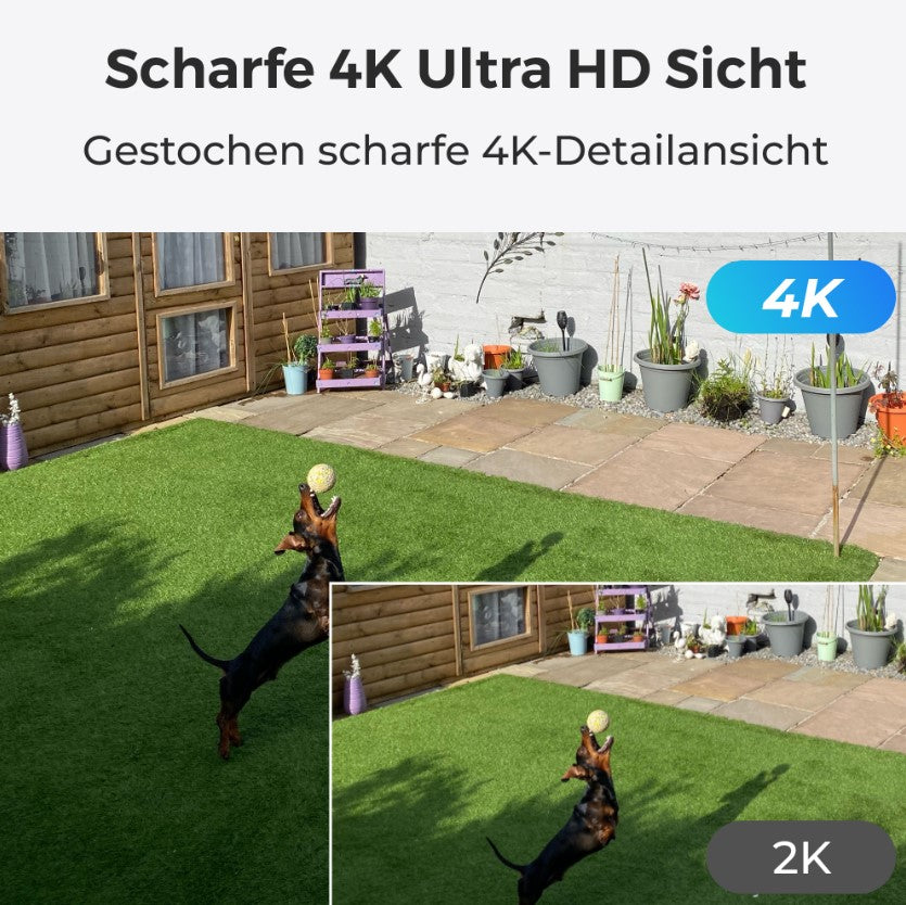 Reolink Argus B440 4K PT WLAN-Kamera mit Solarpanel – 8 MP, Akku & Rundumsicht