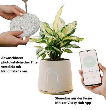Frische Saubere Luft Atmen!